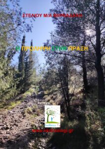 Υμηττός, Κυριακή 1 Φλεβάρη 2026, Ένα Τμήμα Μονοπατιού Με Δέντρα Που Μισοκρύβουν Τον Ήλιο...